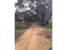 Country Roads.